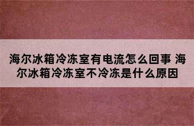 海尔冰箱冷冻室有电流怎么回事 海尔冰箱冷冻室不冷冻是什么原因